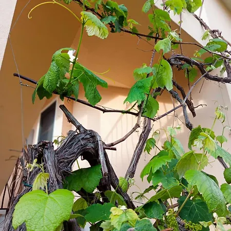 Casa Anna Apartament